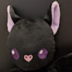 Meet your Posher, Ren